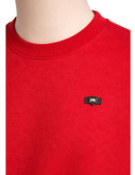 Lionette Sweater.(FFF)