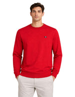 Lionette Sweater.(FFF)