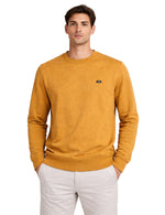 Lionette Sweater.(FFF)